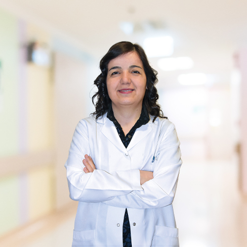 <div >Ruh Sağlığı ve Hastalıkları (Psikiyatri)</div> <div >Dr.Mehtap YILMAZ BOLAT</div>